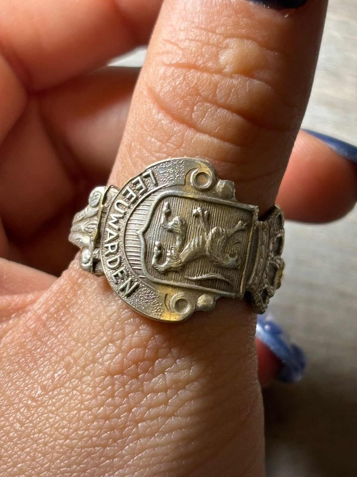 Anillo Leewarden
