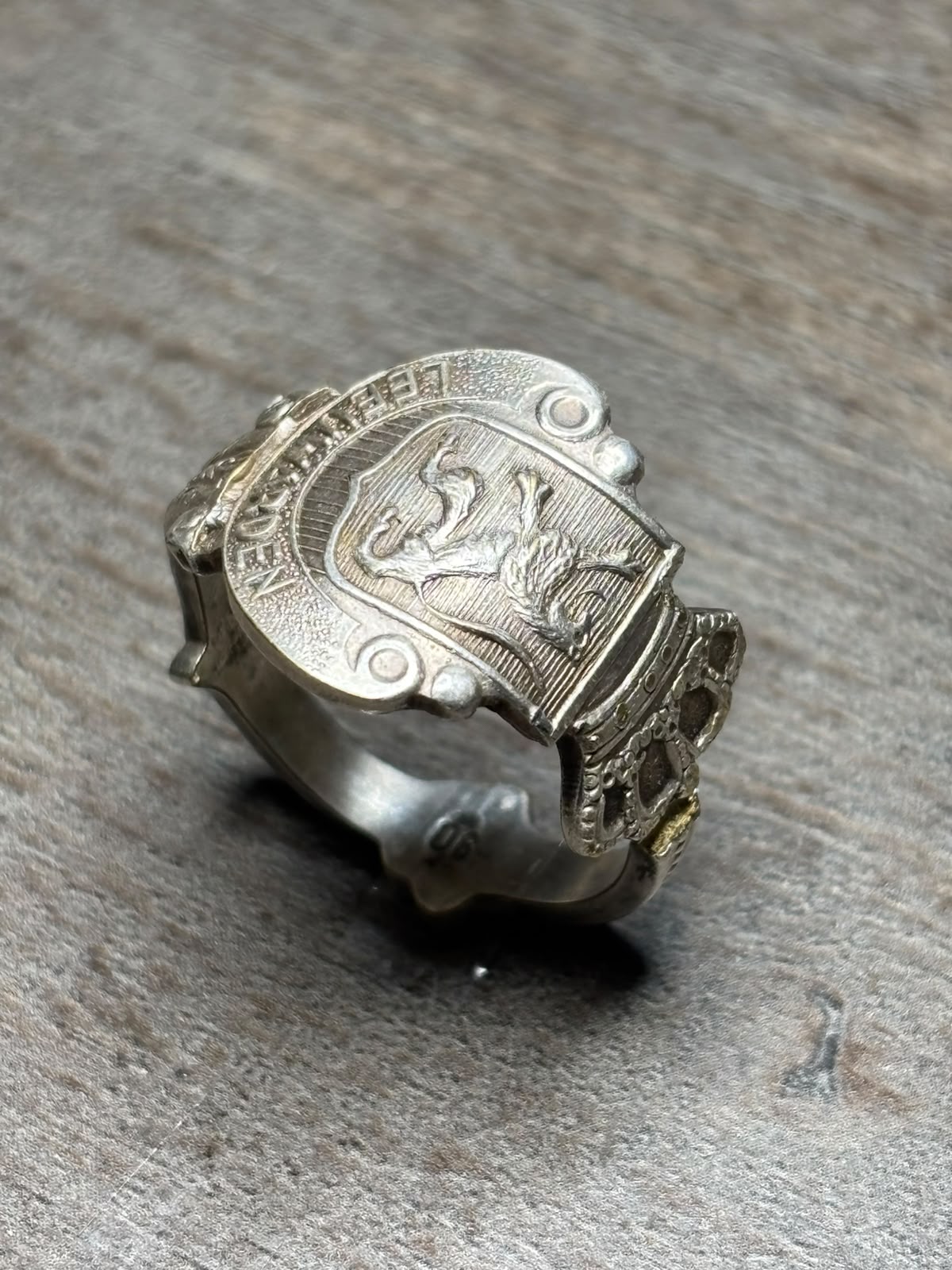 Anillo Leewarden