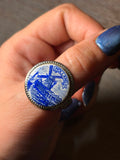 Anillo Zaanse Caelum - Acero
