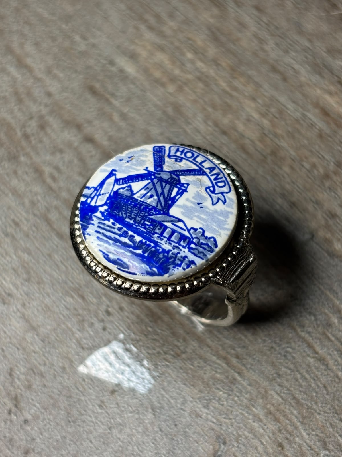 Anillo Zaanse Caelum - Acero